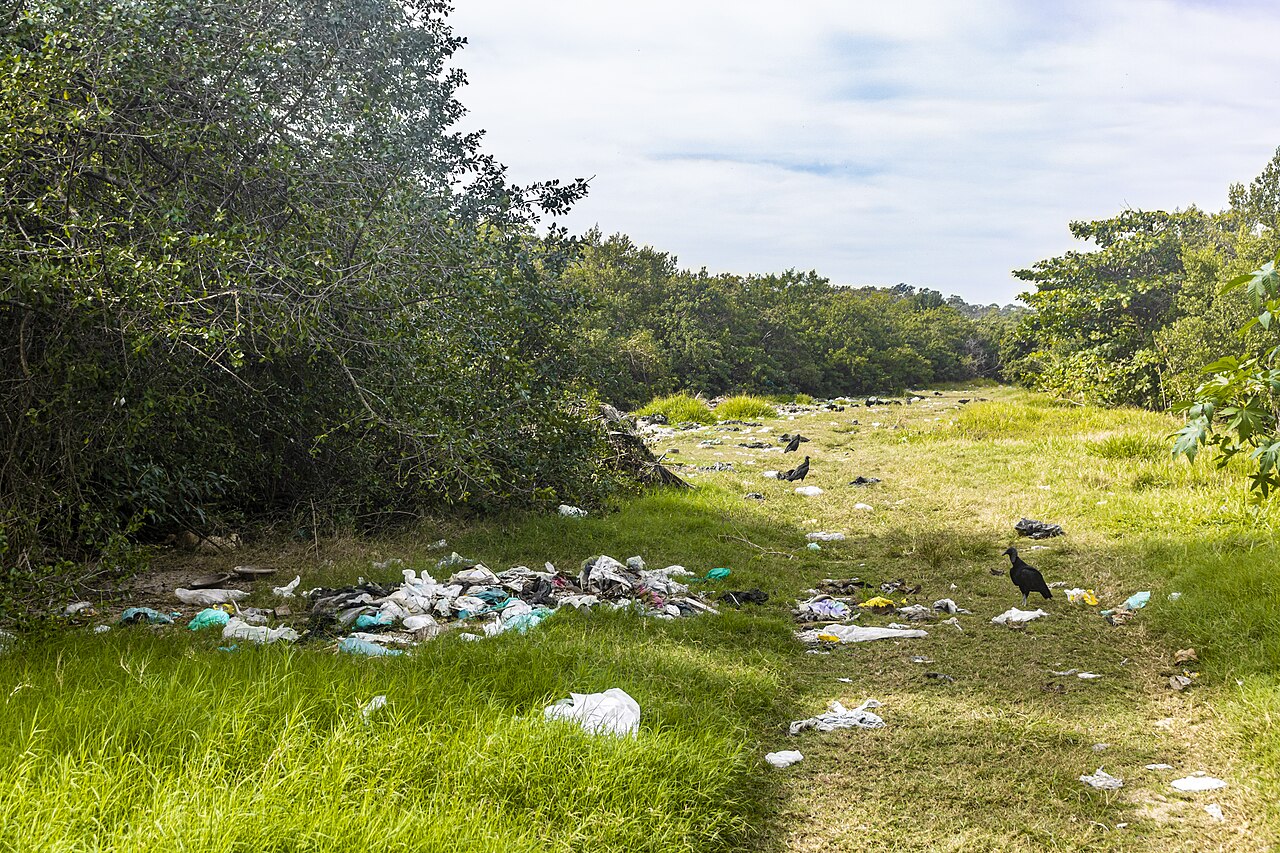 Área de Proteção Ambiental das Brisas: localização e características de Área de Proteção Ambiental