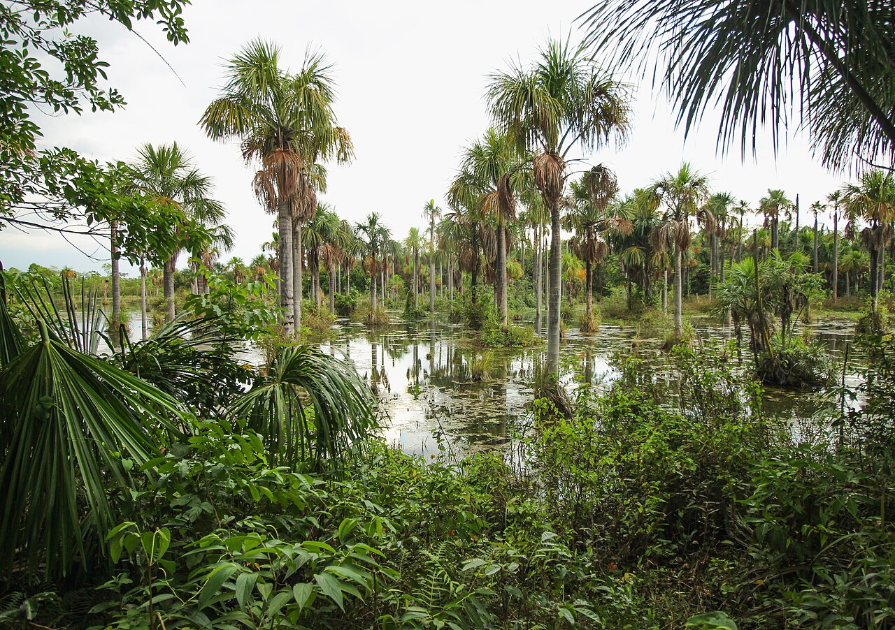 Onde fica Área de Proteção Ambiental das Cabeceiras do Rio Cuiabá: localização, administração e dados do território
