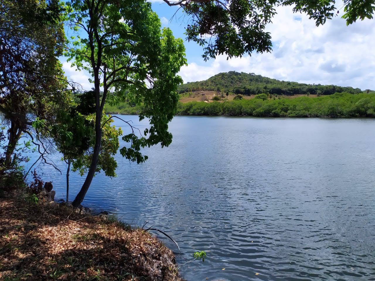 Imagem de referência de Área de Proteção Ambiental de Guadalupe, descrito nos dados abertos como área de Proteção Ambiental de Guadalupe de nível Estadual, localizado (a) em Barreiros (PE), Rio Formoso (PE), Sirinhaém (PE), Tamandaré (PE)