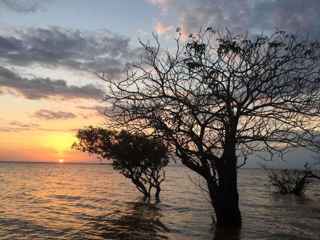 Onde fica Área de Proteção Ambiental de Alter do Chão: localização, administração e dados do território