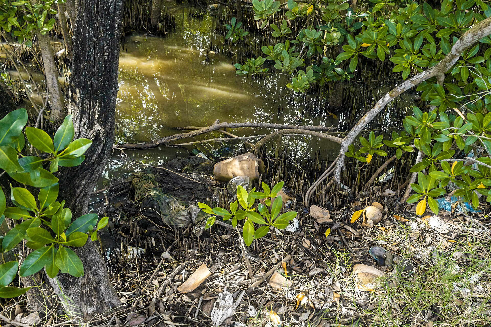 Imagem de referência de Área de Proteção Ambiental das Brisas, descrito nos dados abertos como área de Proteção Ambiental das Brisas de nível Municipal, localizado (a) em Rio de Janeiro (RJ)