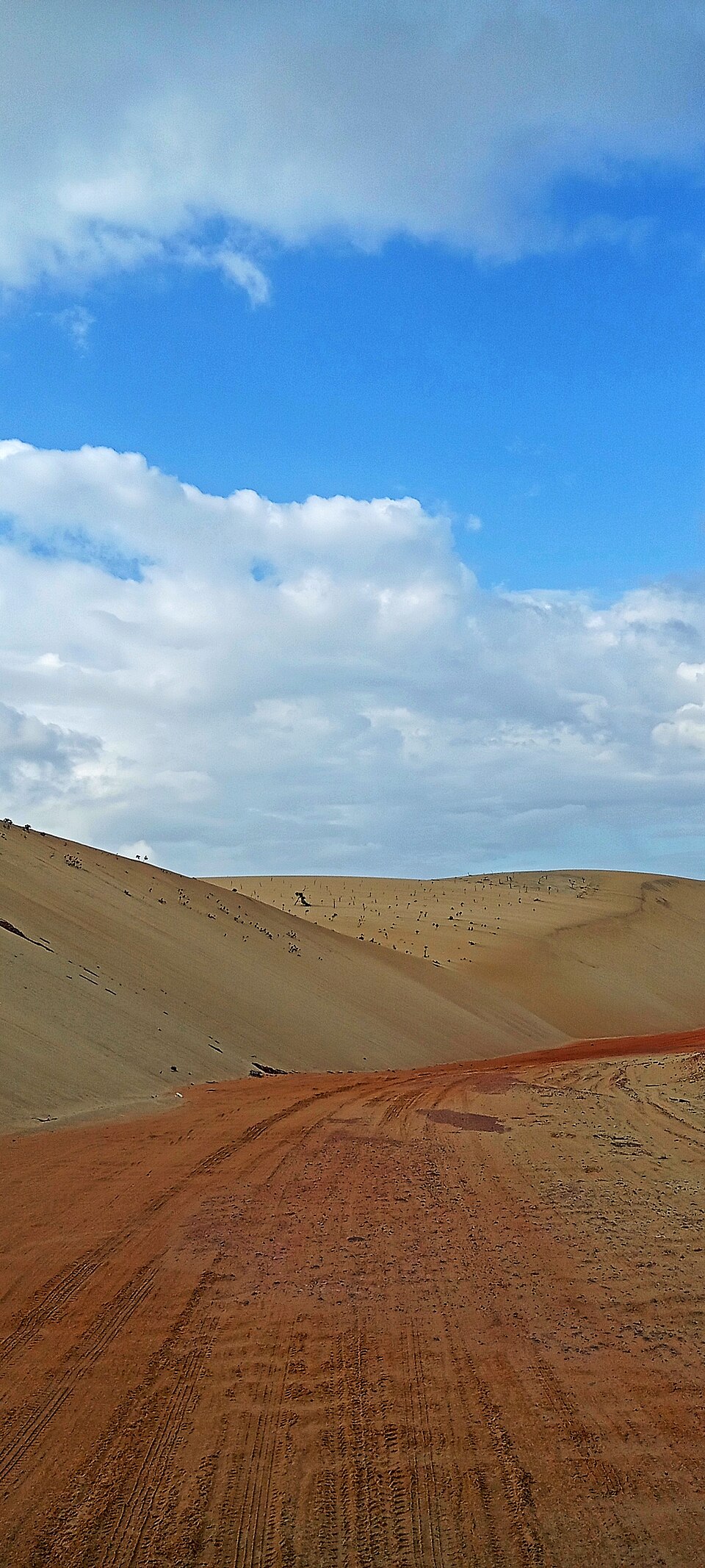 Área de Proteção Ambiental das Dunas de Paracuru: localização e características de Área de Proteção Ambiental