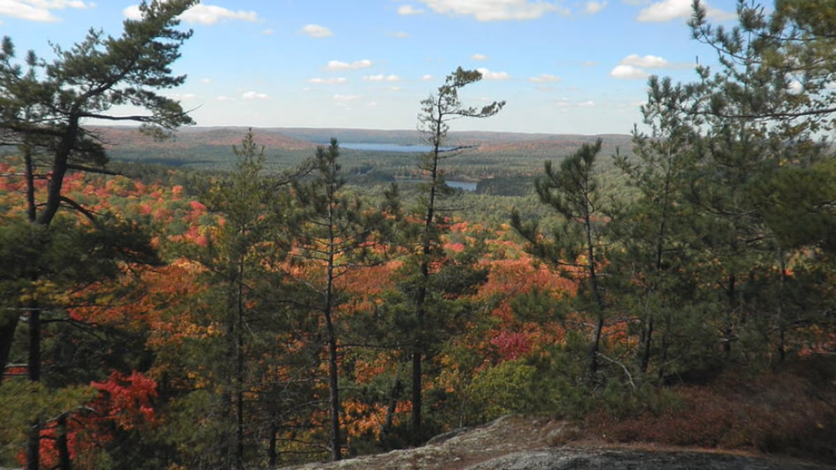 Climber knocked unconscious by falling rock at popular Ontario mountain