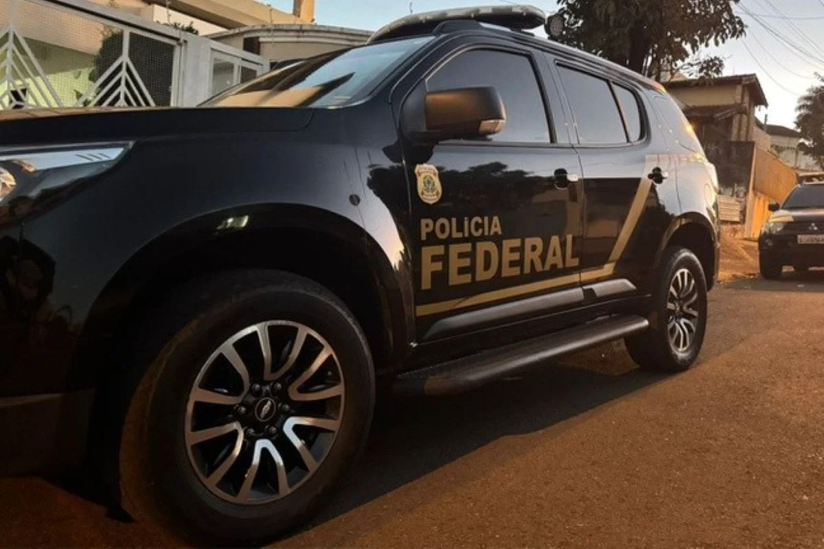 Imagens coloridas mostram agente com colete preto da Polícia Federal avaliando material apreendido