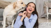 Cão lambendo as patas em excesso pode indicar problemas físicos e mentais