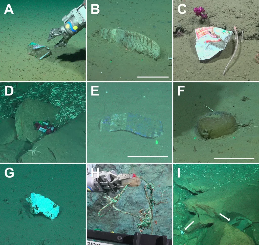 Pesquisadores encontram lixo a 3.820 metros e revelam o alcance da poluição no oceano profundo