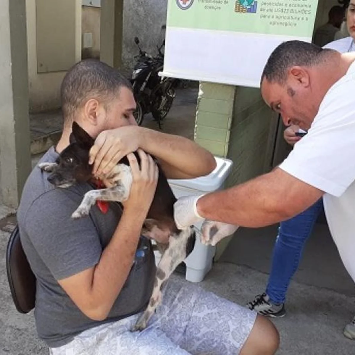 BH terá dois pontos extras para vacinação de cães e gatos contra a raiva