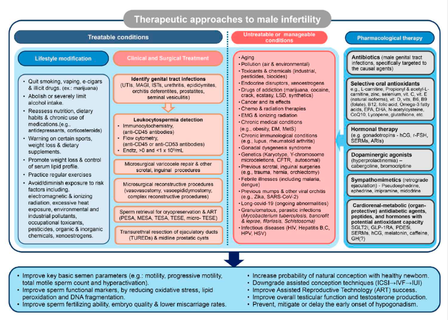 Ilustra&ccedil;&atilde;o publicada no estudo mostra fatores que podem prejudicar estrutura de espermatozoides