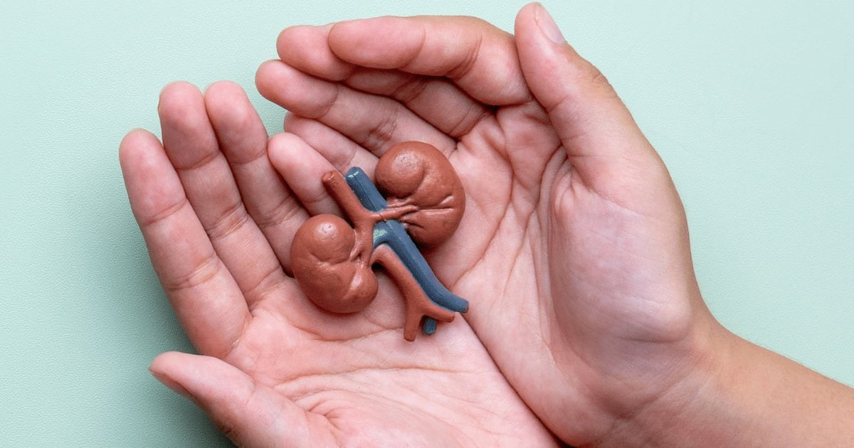Doença renal atinge cerca de 1 em cada 10 brasileiros: veja mitos e verdades sobre o transplante de rim