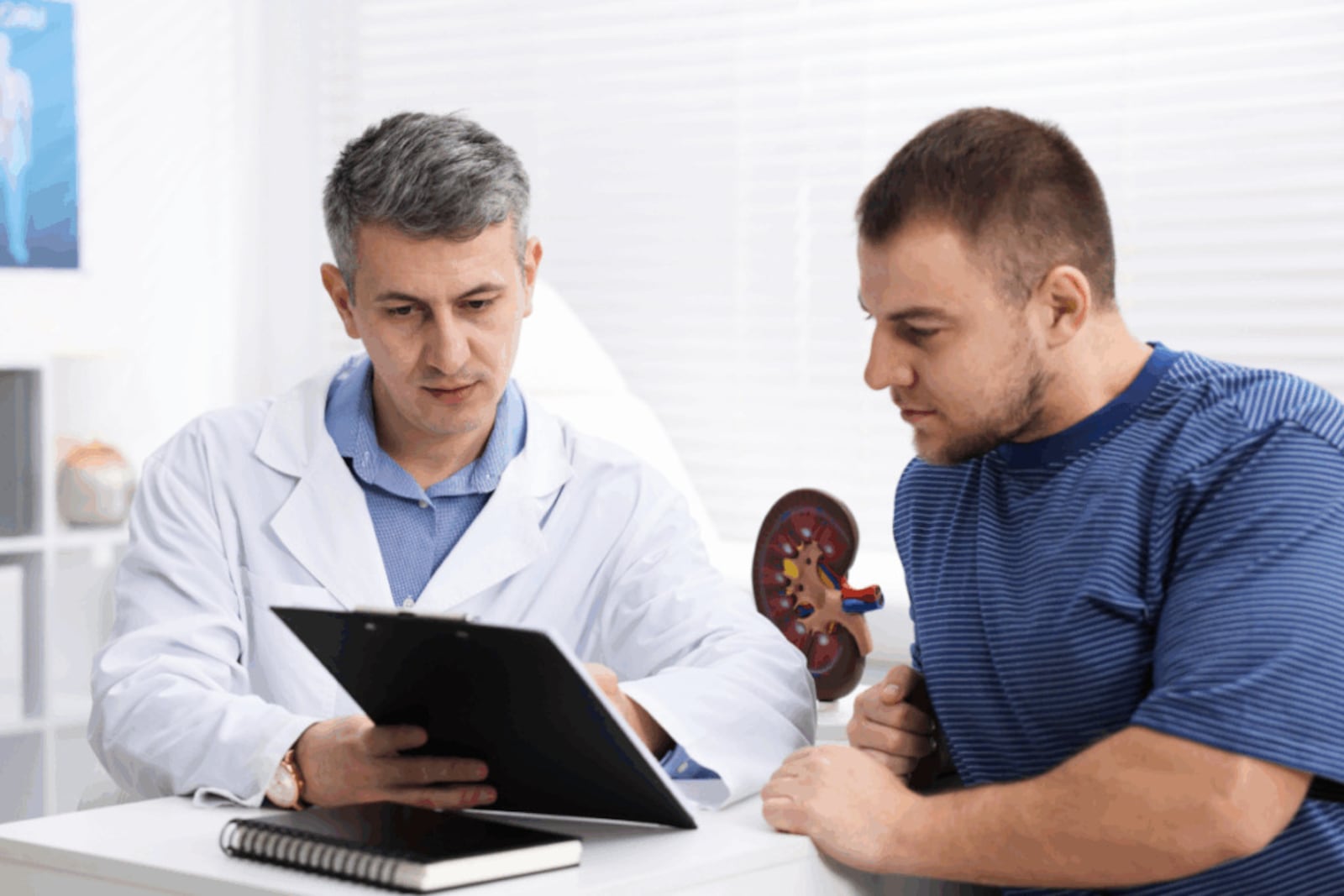 O tratamento da doença renal crônica varia conforme o estágio da condição e as necessidades de cada paciente Imagem: New Africa | Shutterstock