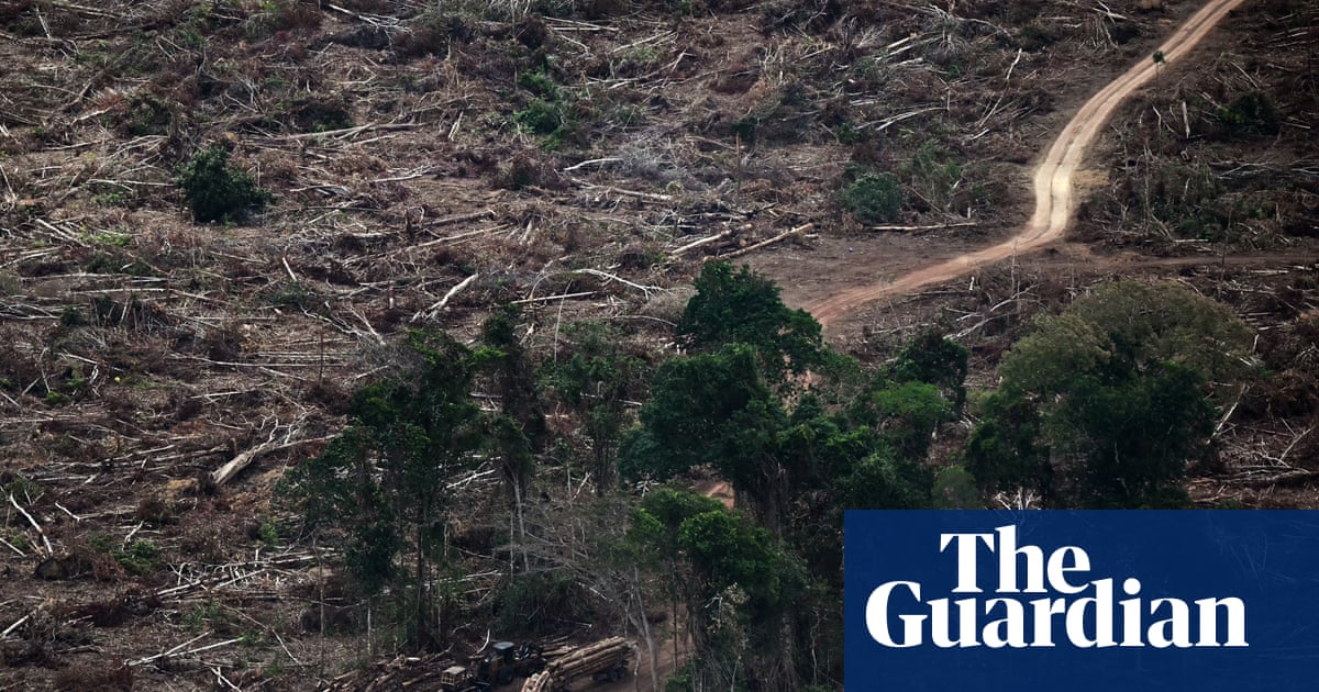'Limites planetários' necessários para o florescimento da vida foram massivamente violados, alertam cientistas