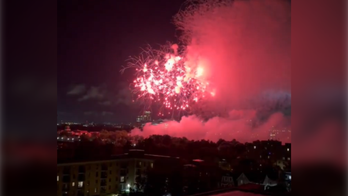Ottawa Bluesfest organizers had concerns about keeping July 9 fireworks under wraps, documents show