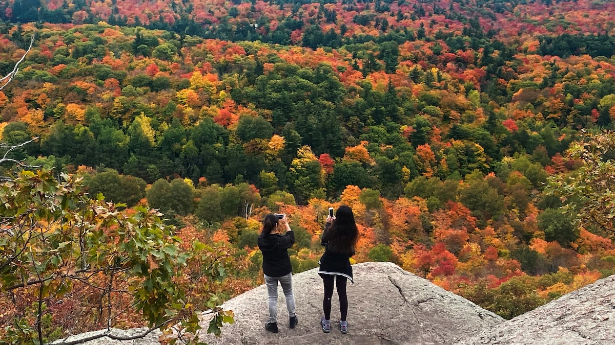 Why Quebec’s forests light up every fall, and where to see them now