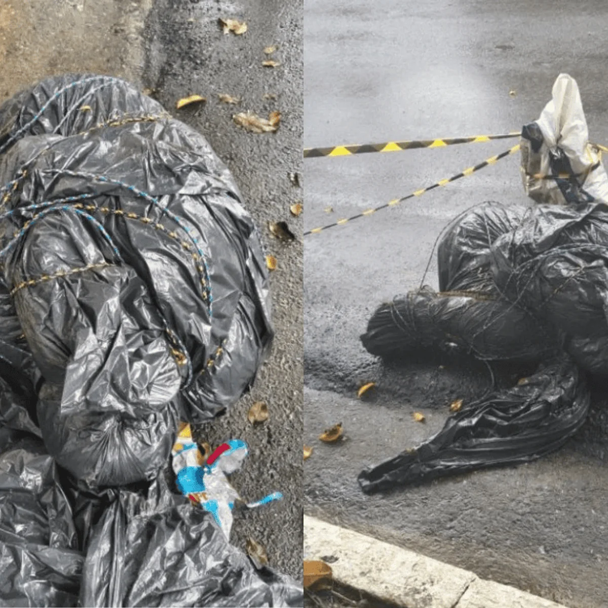 Mapa interativo revela onde foram encontrados corpos em SP. Confira