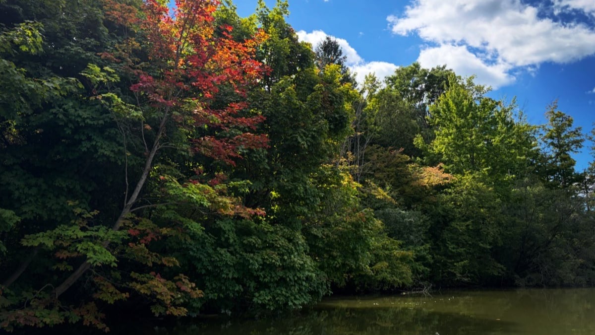 Rain expected in London area Thanksgiving weekend forecast
