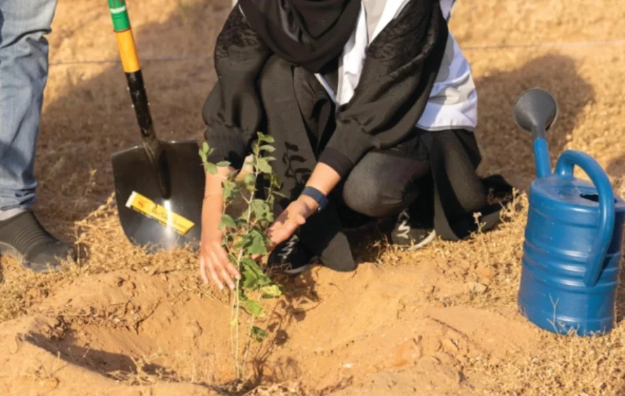 Reino Arábico Saudita lança a Temporada Nacional de Arborização para expandir a cobertura vegetal