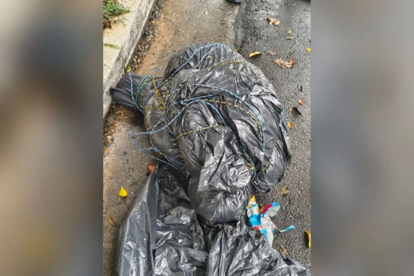 Mapa interativo revela onde foram encontrados corpos em SP. Confira