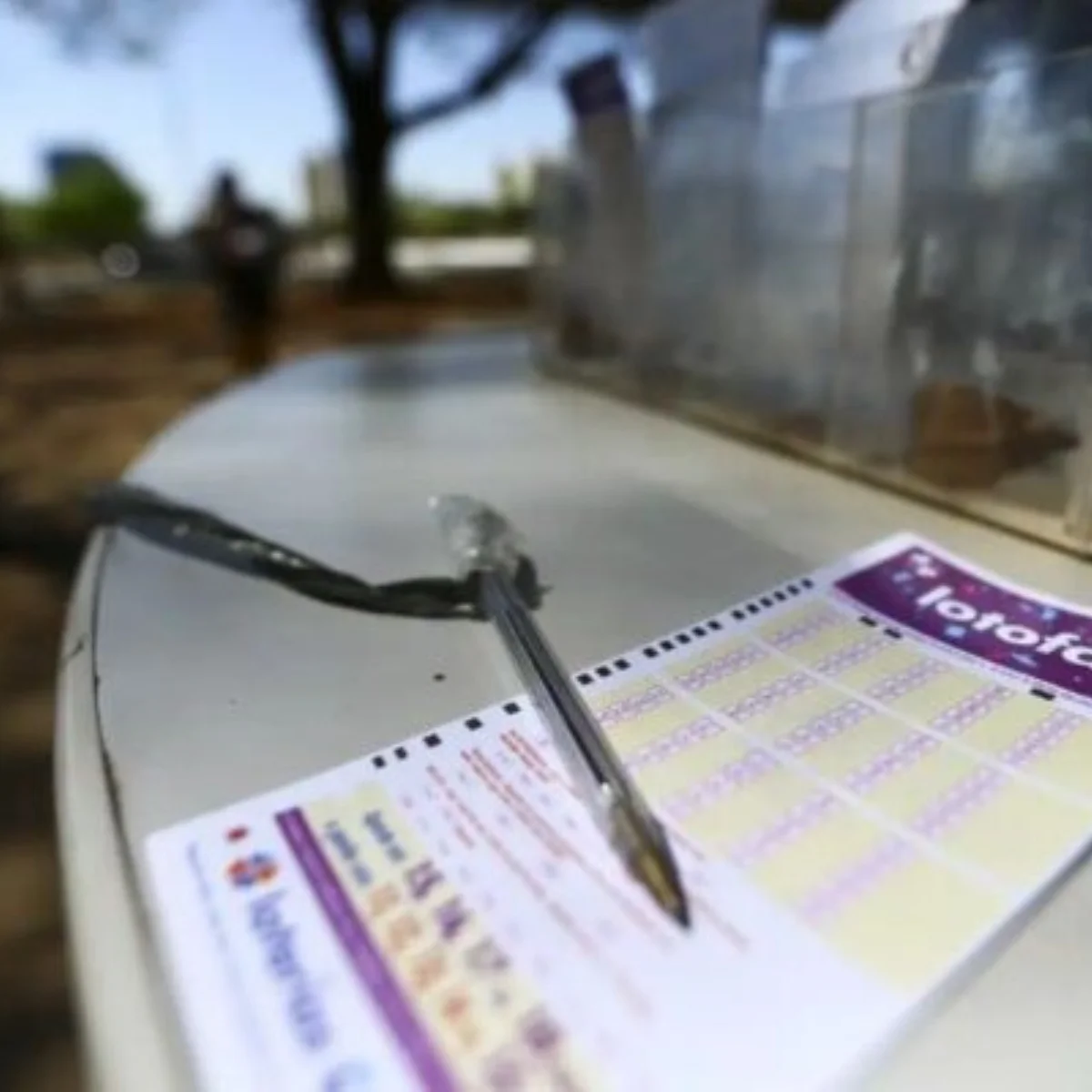 Lotofácil 3793 tem 2 ganhadores; cada um leva R$ 537 mil. Veja resultado