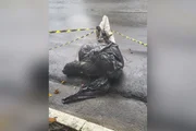 Mapa interativo revela onde foram encontrados corpos em SP. Confira