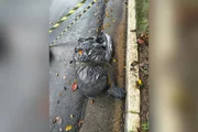 Mapa interativo revela onde foram encontrados corpos em SP. Confira