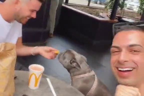 Beau Lamarre-Condon smiles as Jesse Baird feeds dog a chip