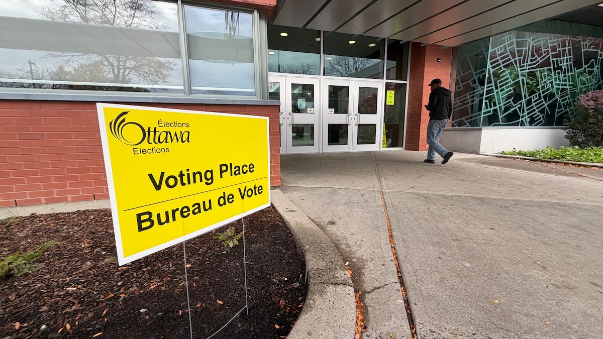 A look at some of the mayors elected across eastern Ontario