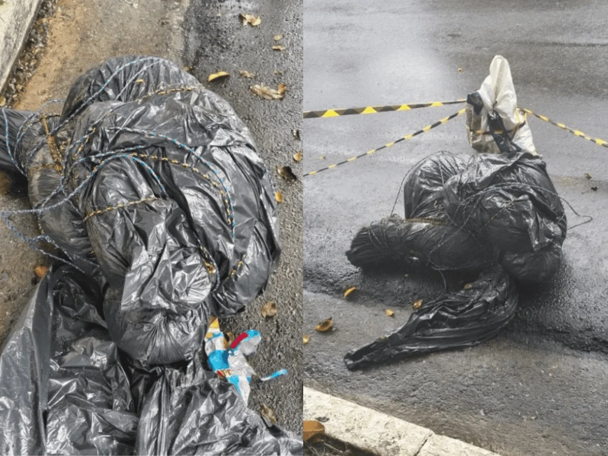 Mapa interativo revela onde foram encontrados corpos em SP. Confira