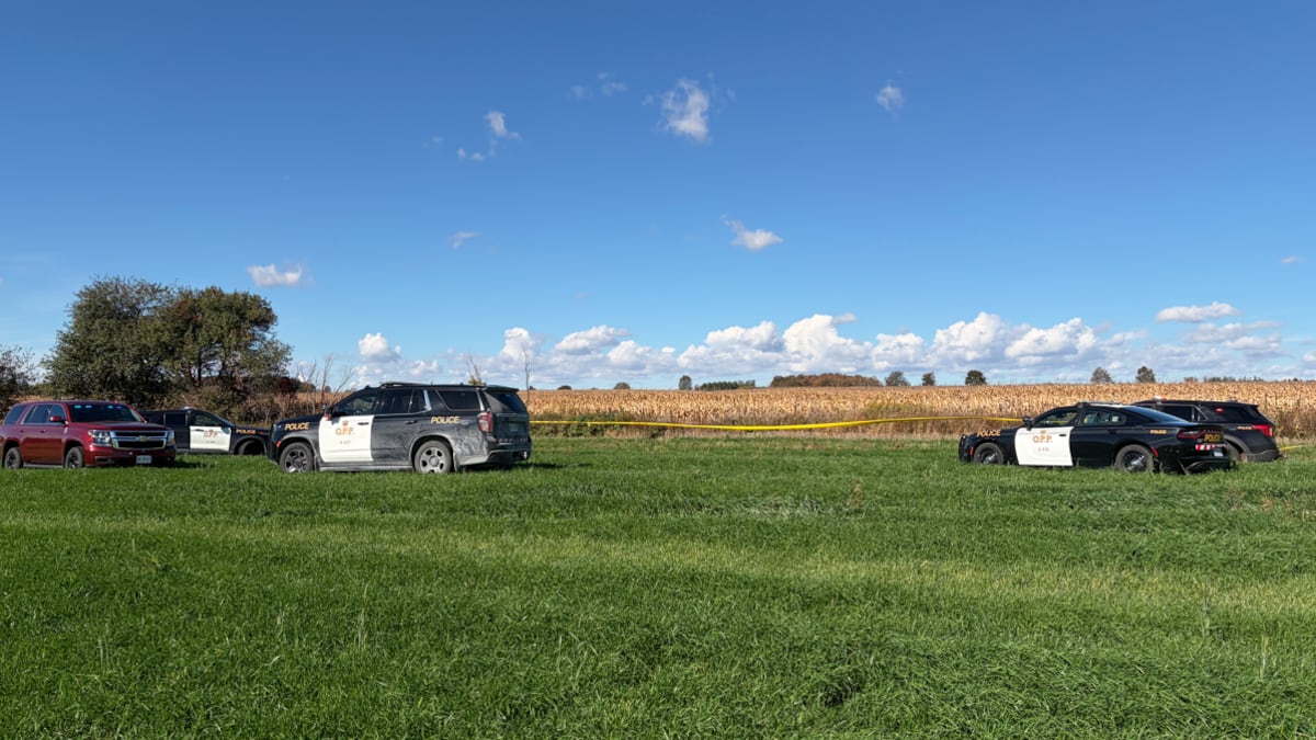 Small plane reportedly crashes into field near Fergus, Ont.